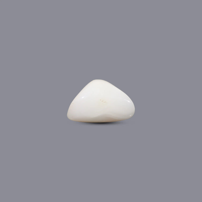White Coral - 6.1 Carat