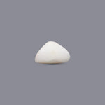 White Coral - 6.1 Carat