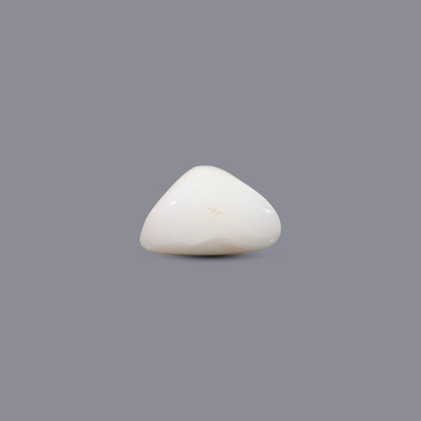 White Coral - 6.1 Carat