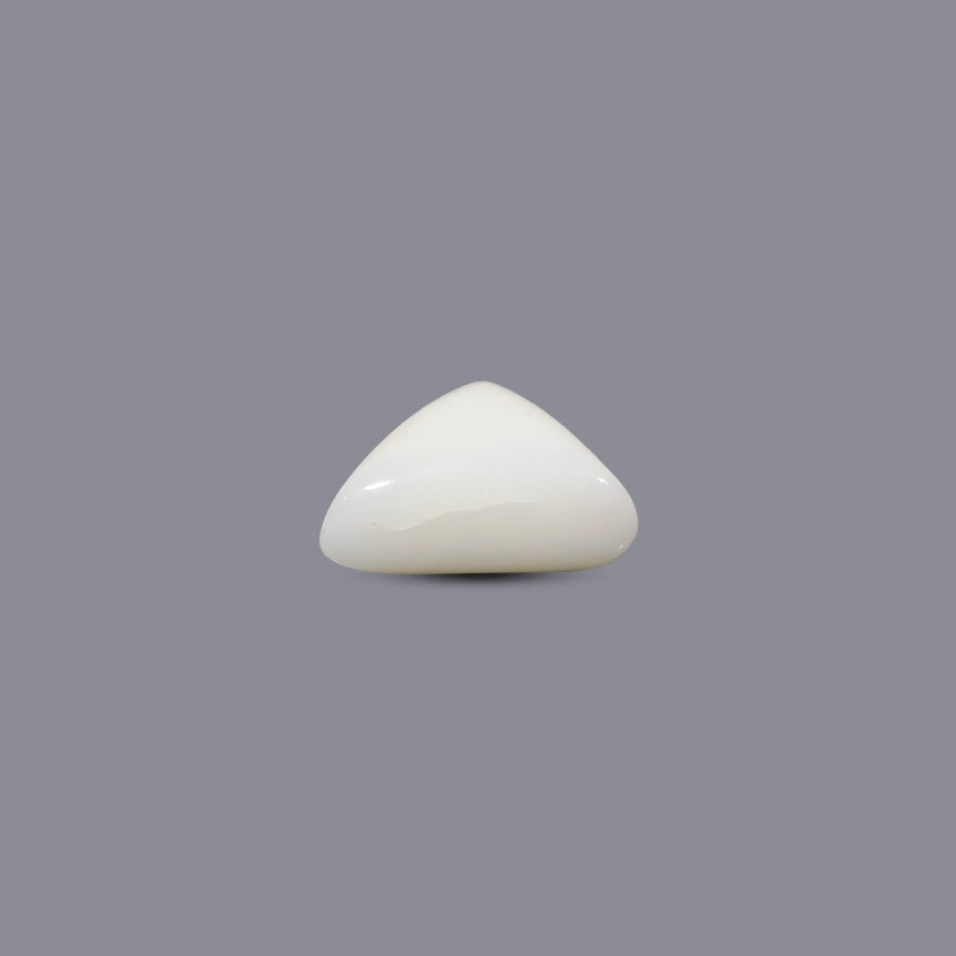 White Coral - 5.9 Carat
