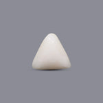 White Coral - 6.1 Carat - Pramogh