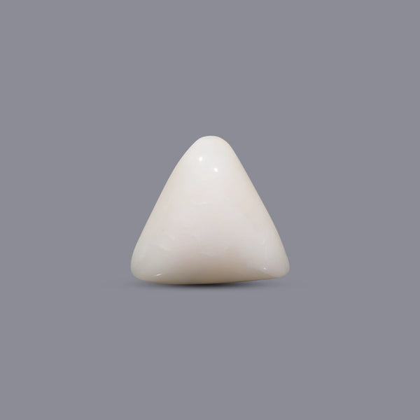White Coral - 6.1 Carat - Pramogh