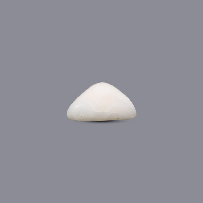White Coral - 6.1 Carat