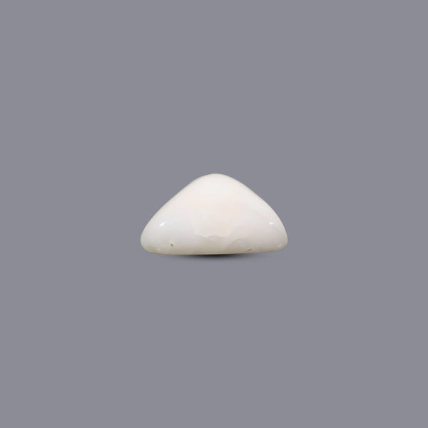 White Coral - 6.1 Carat