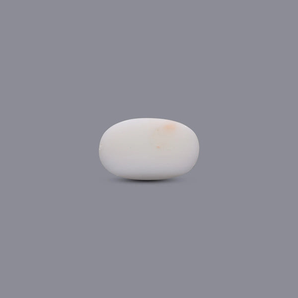 White Coral - 8.85 Carat