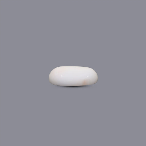 White Coral - 8.85 Carat
