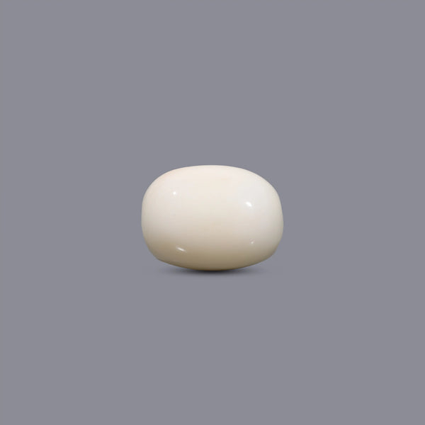 White Coral - 8.85 Carat