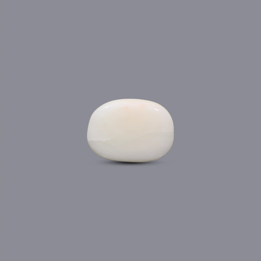 White Coral - 10.5 Carat