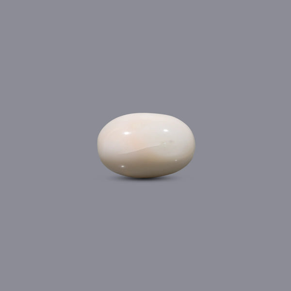 White Coral - 12.4 Carat - Pramogh