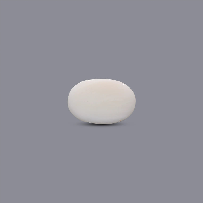White Coral - 8.9 Carat
