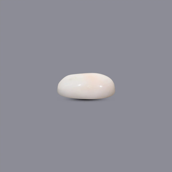 White Coral - 8.9 Carat