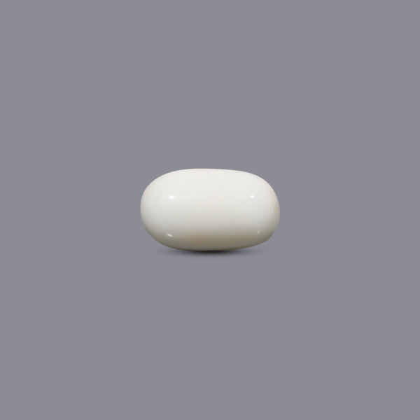 White Coral - 12.15 Carat - Pramogh