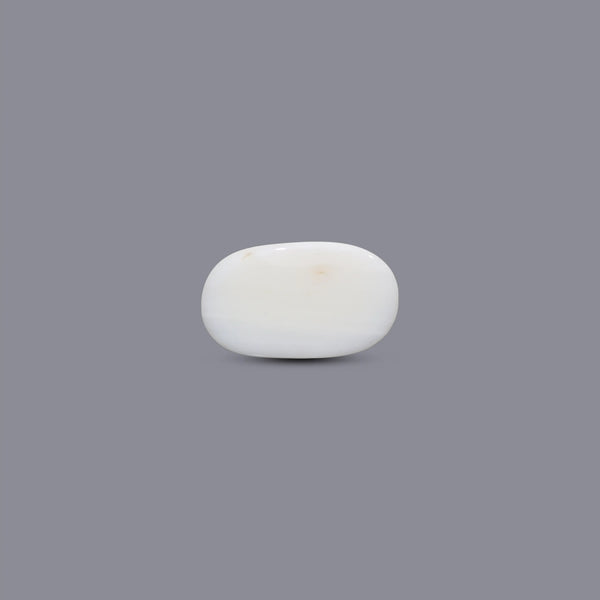 White Coral - 12.15 Carat