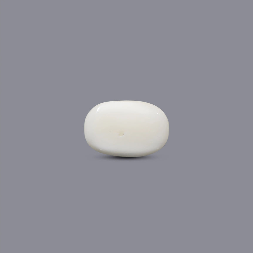 White Coral - 9.15 Carat