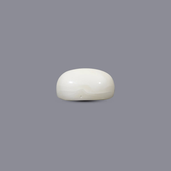 White Coral - 9.15 Carat
