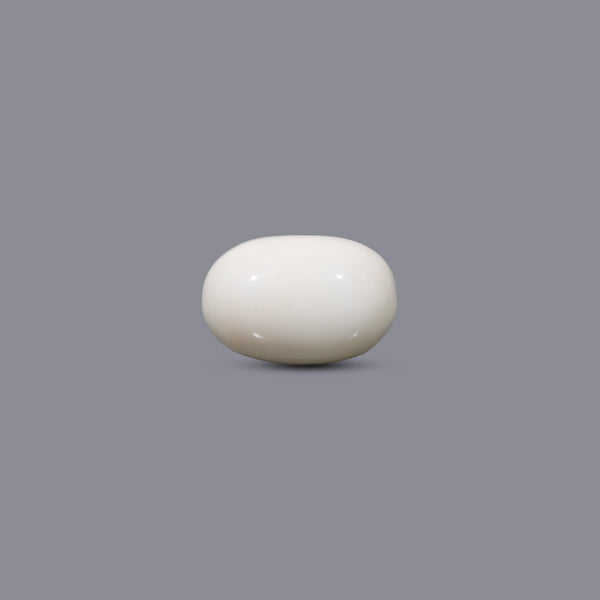 White Coral - 8.9 Carat - Pramogh