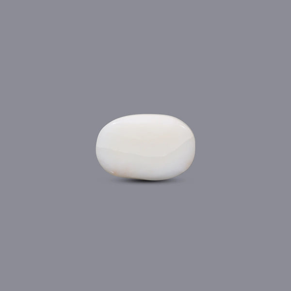 White Coral - 8.9 Carat