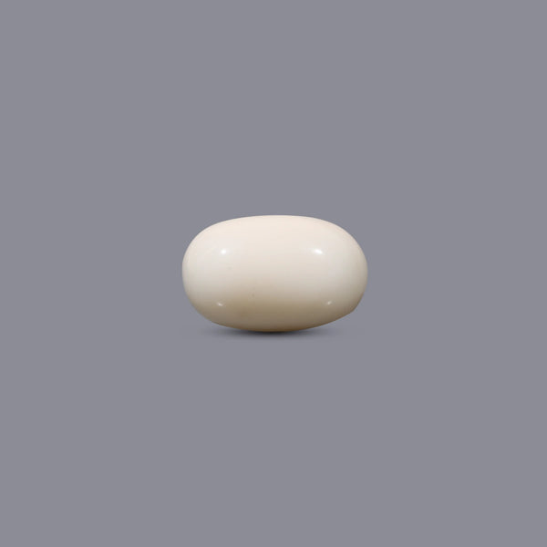 White Coral - 11.35 Carat - Pramogh