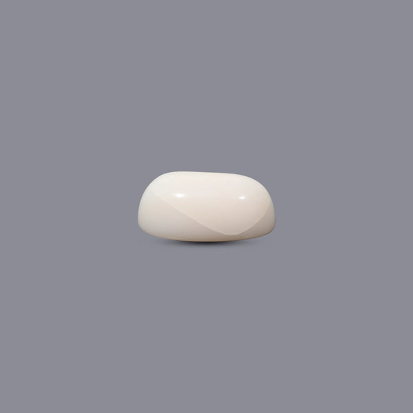 White Coral - 11.35 Carat