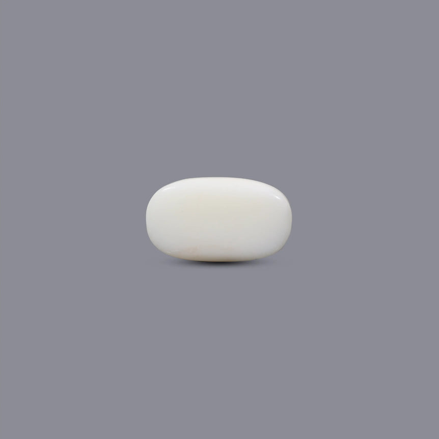 White Coral - 9.75 Carat
