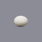 White Coral - 8.85 Carat - Pramogh