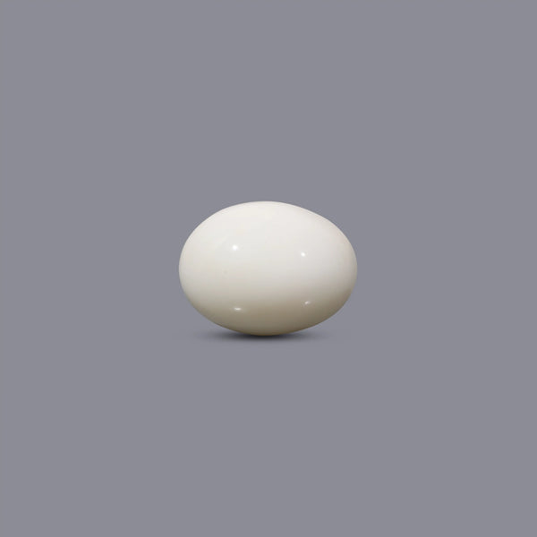 White Coral - 8.85 Carat - Pramogh