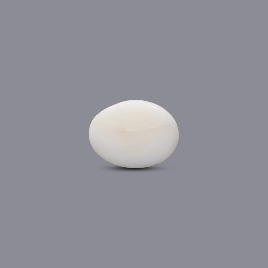 White Coral - 8.85 Carat