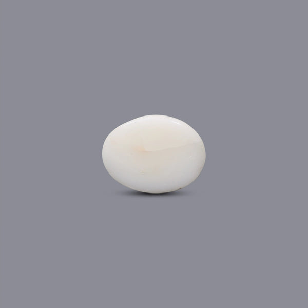 White Coral - 8.85 Carat