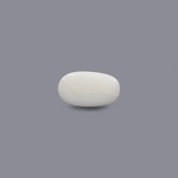 White Coral - 9 Carat
