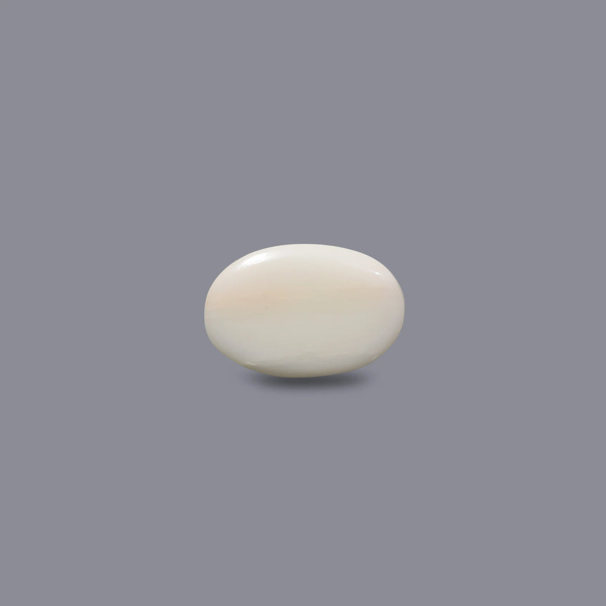 White Coral - 8.85 Carat