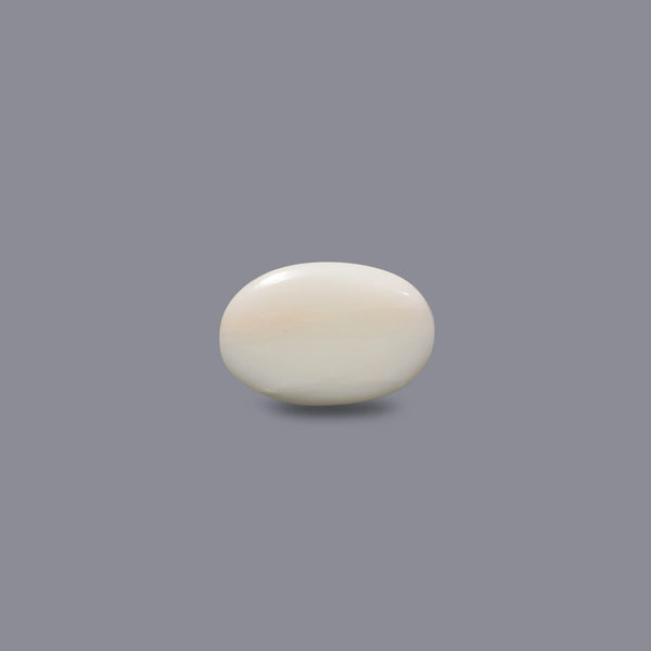 White Coral - 8.85 Carat