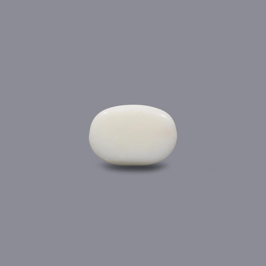White Coral - 9.3 Carat