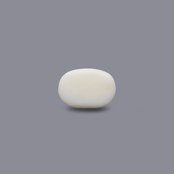 White Coral - 9.3 Carat