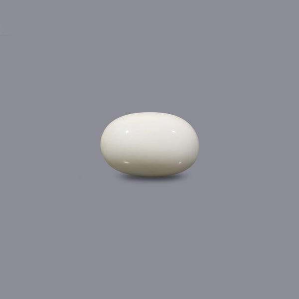 White Coral - 12.15 Carat - Pramogh
