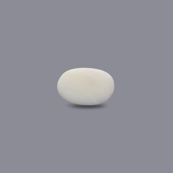 White Coral - 12.15 Carat