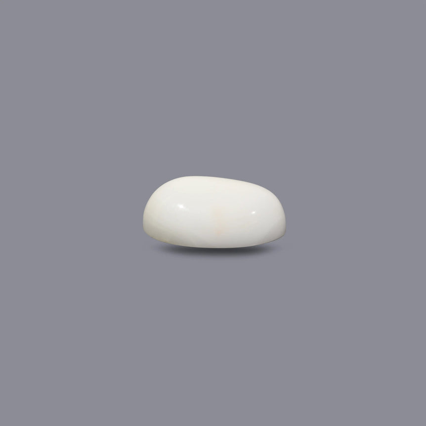 White Coral - 12.15 Carat