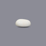 White Coral - 12.15 Carat