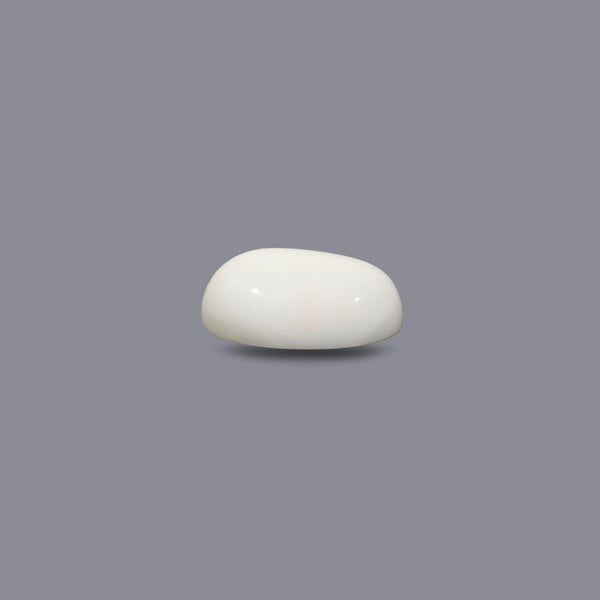 White Coral - 12.15 Carat