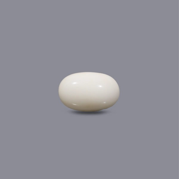 White Coral - 10.5 Carat - Pramogh