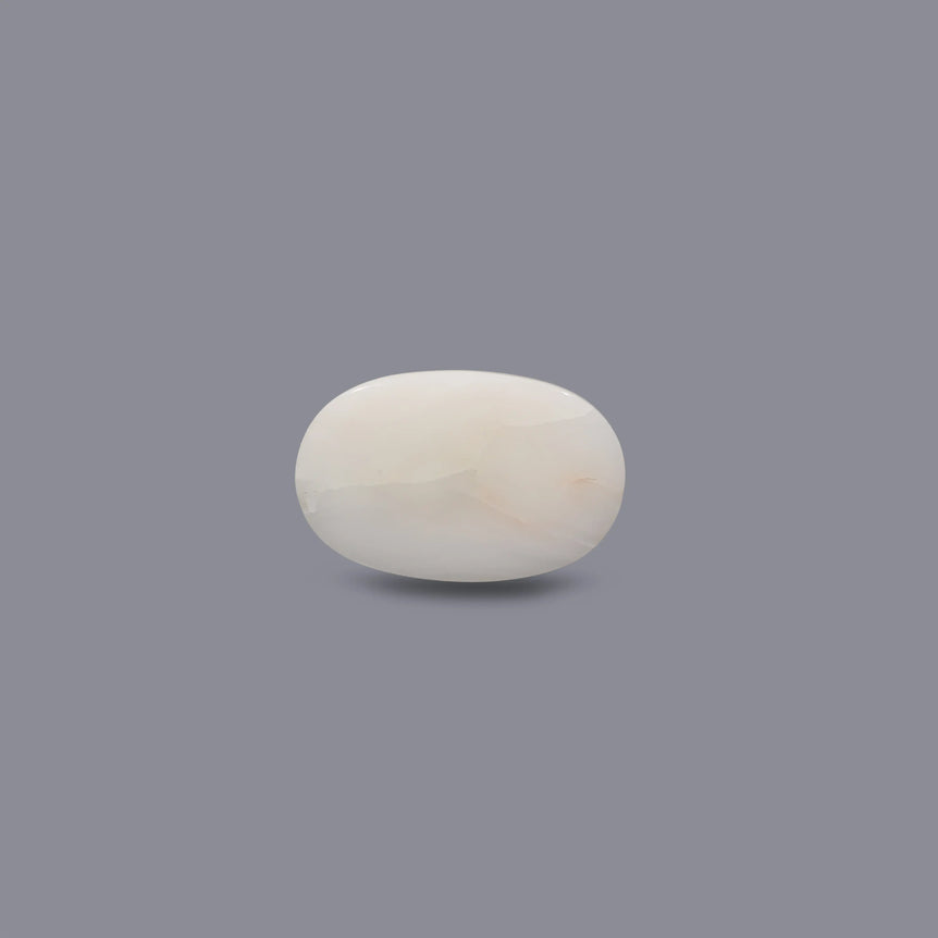 White Coral - 10.5 Carat