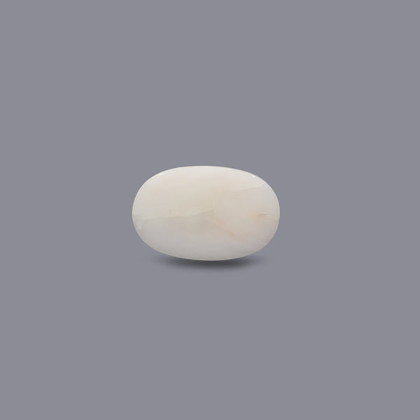 White Coral - 10.5 Carat