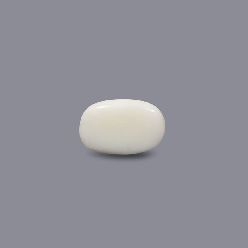 White Coral - 8.25 Carat