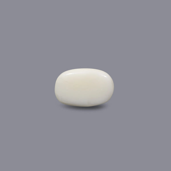 White Coral - 8.25 Carat