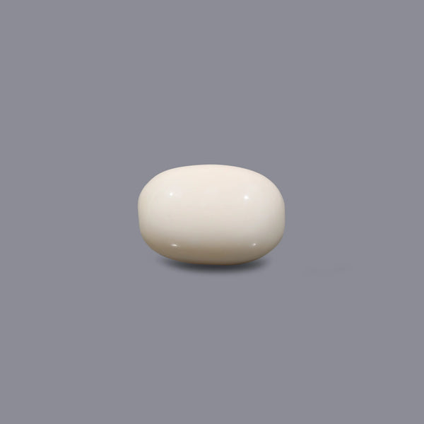 White Coral - 10.55 Carat - Pramogh