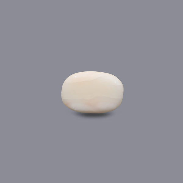 White Coral - 10.55 Carat