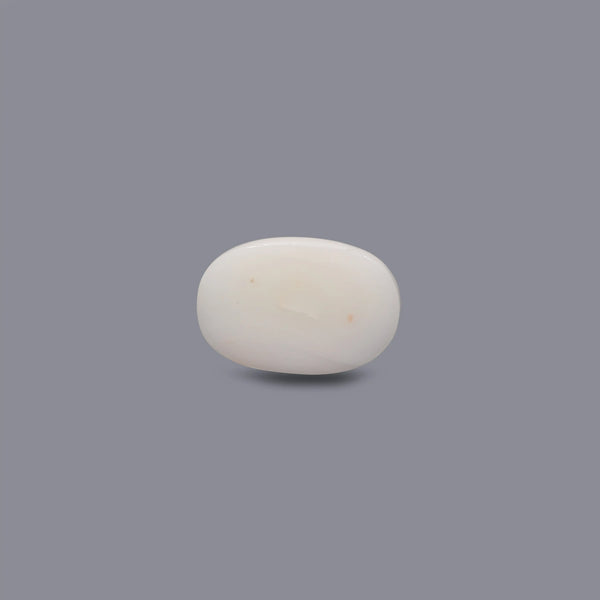 White Coral - 11.95 Carat