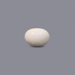 White Coral - 12.35 Carat - Pramogh