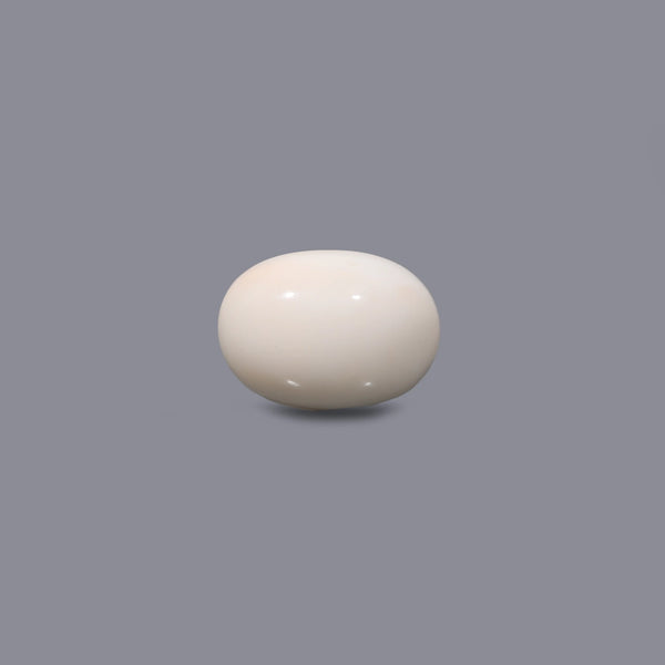 White Coral - 12.35 Carat - Pramogh