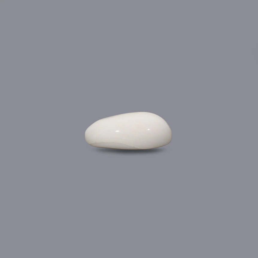 White Coral - 9.55 Carat