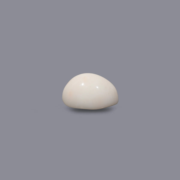 White Coral - 10 Carat